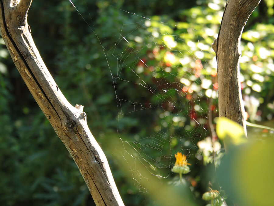 Da758914ecbca3354a482f1f4e47477d