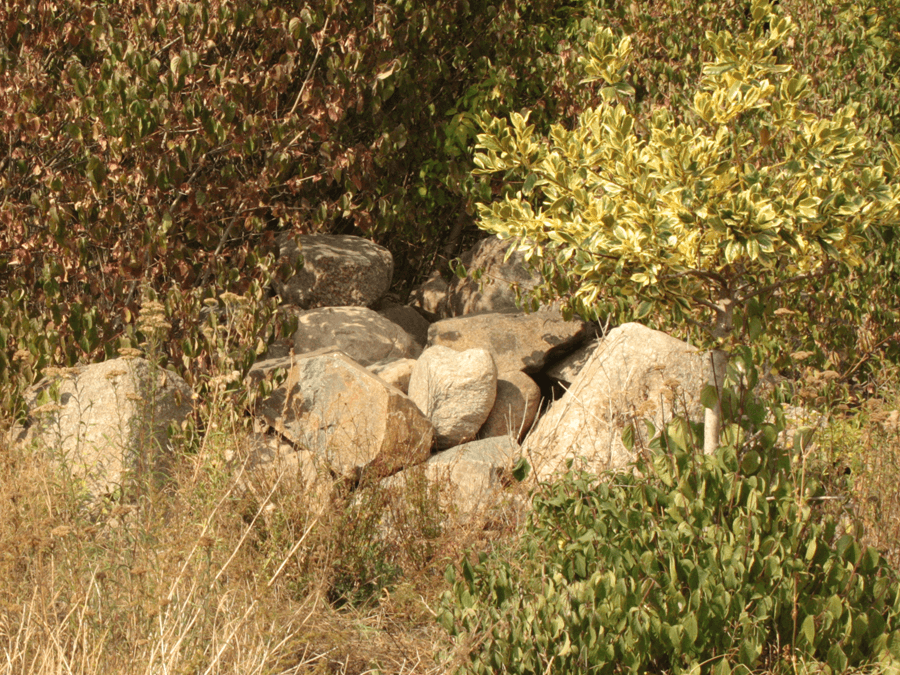 0599340dfff85d90df1b1db76fa99bdf