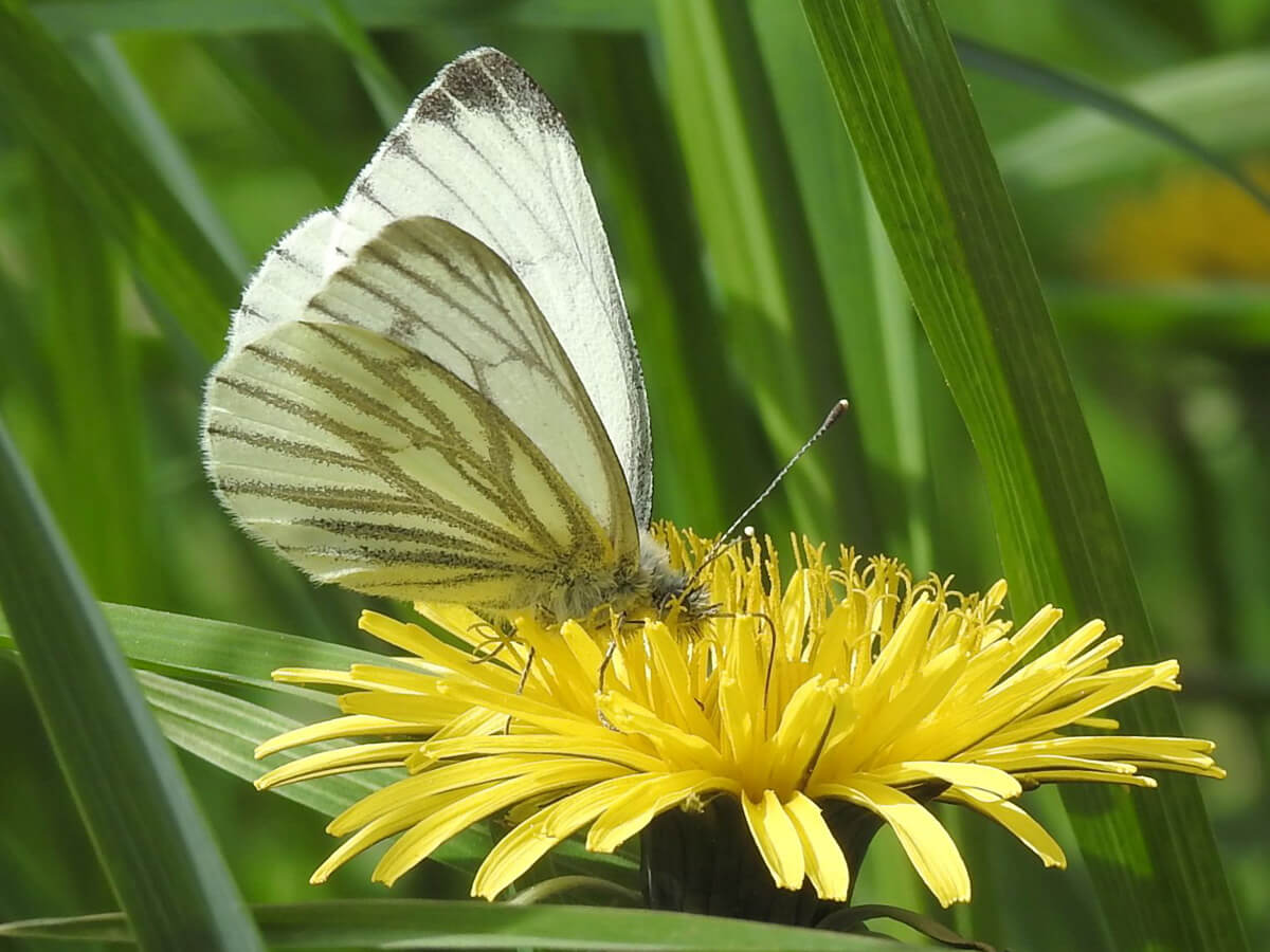 24dc4496472e0a80bbbb9f35422a5076