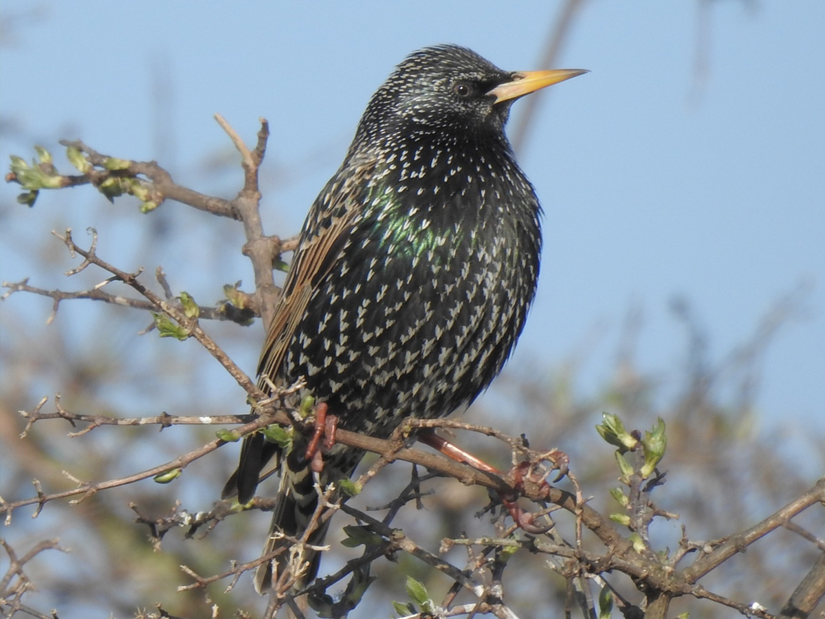 7c3b143baa1093448b33afab0808eeb9