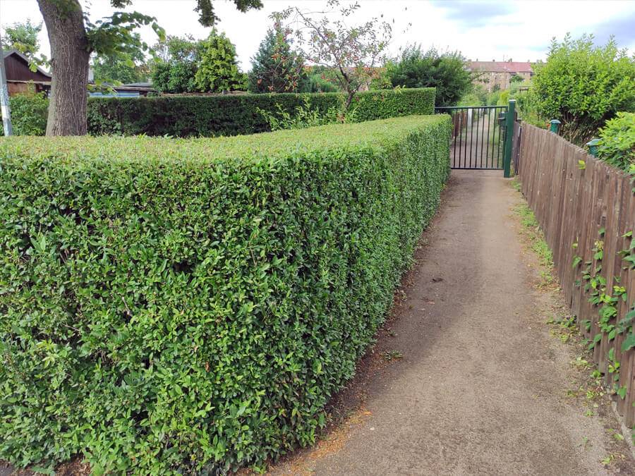 D1e48b7d57081d25a08ee7daf816aee8