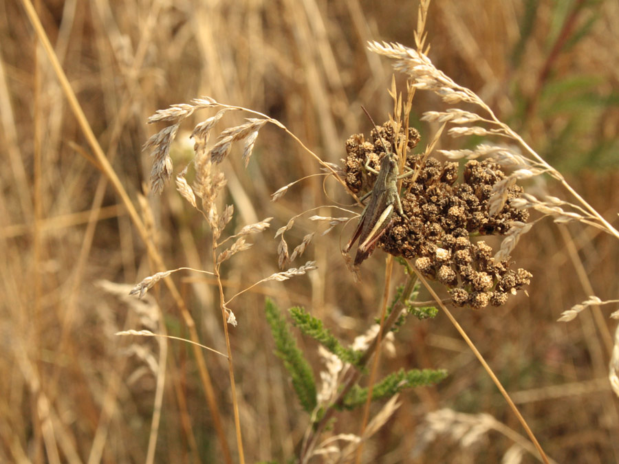 D667087284f25f527640310f002afceb