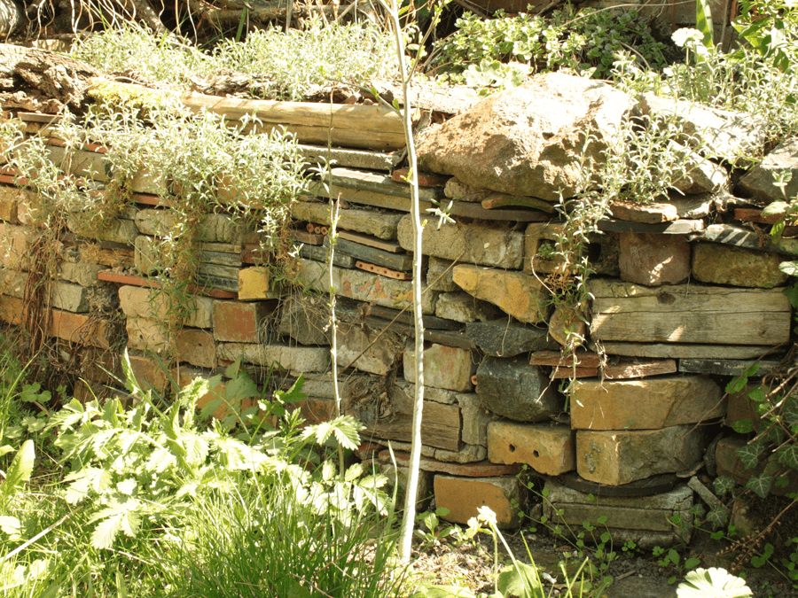 C50d19d5a2a677a45e8b1aa7f000d585