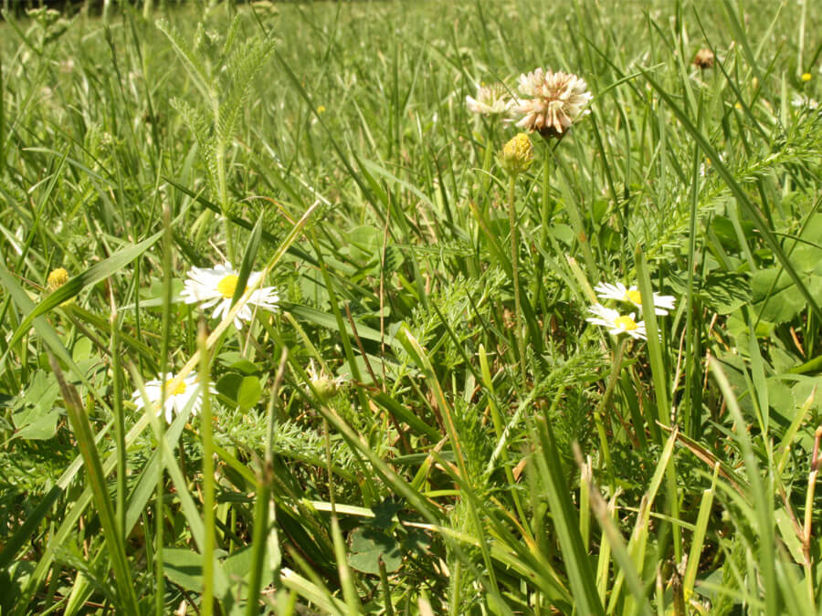 784b3f76d323937a7801cd807054f876