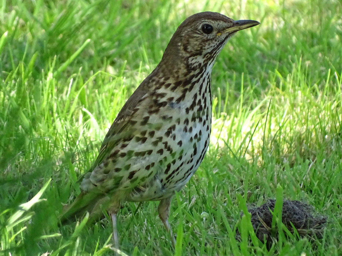 6cf0cf103a05ada6dcd8e9eb812374b7