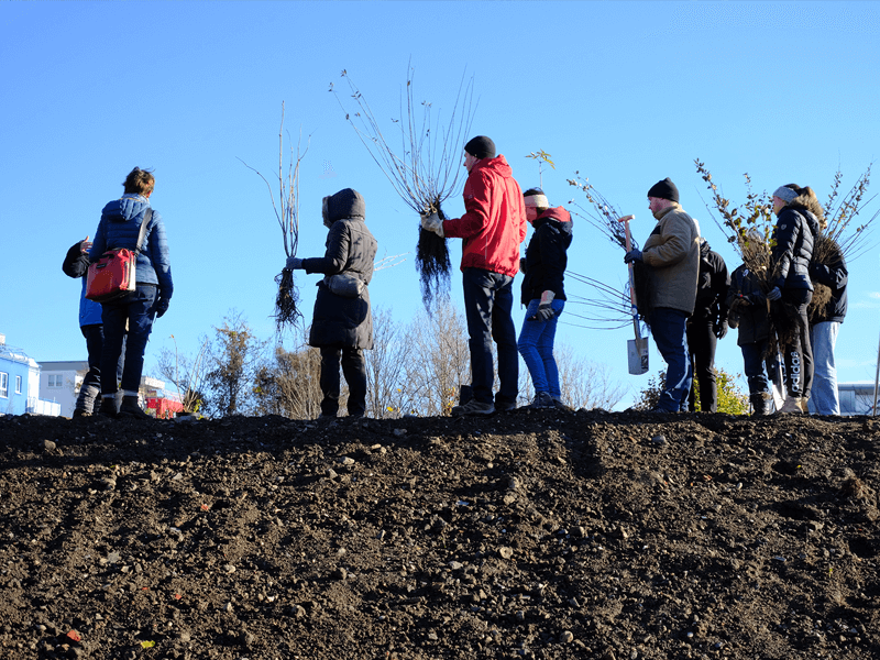 Pflanzung 1 Miriam Kempe