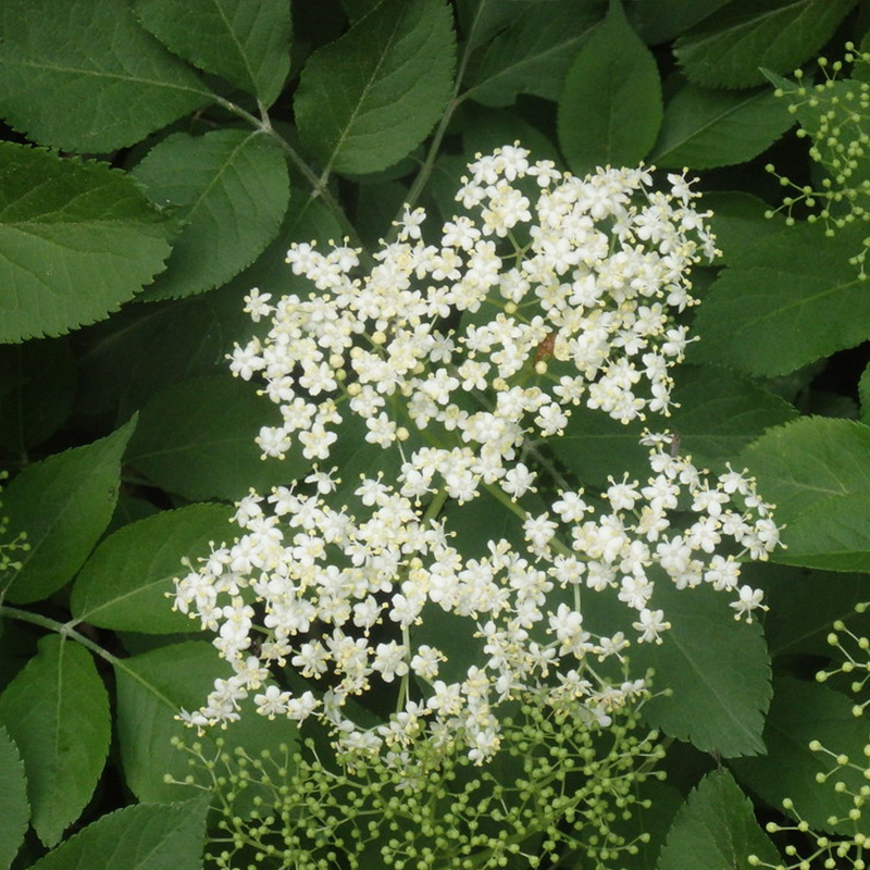 970151b35d647e8aaf6ee5b4dafa2b92