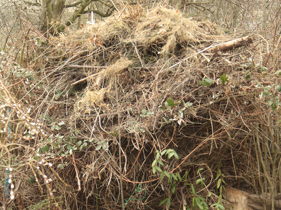 3936360f628979fc8286ca45f0747e72