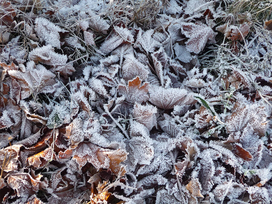 71af65229e0e01cc82b70b23f257d961