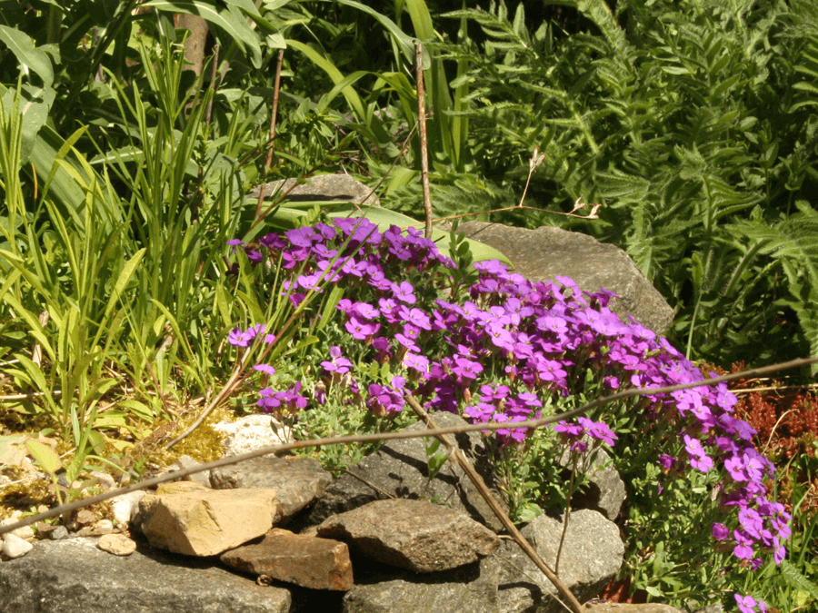 Ae659006429fe8f4293c7b005c02e603