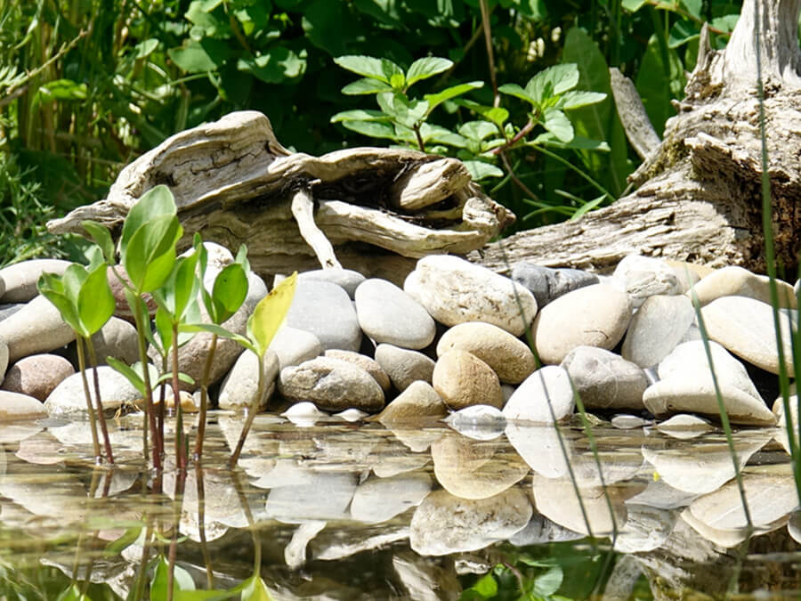 F31ed861dbe2c0e130837ab4ce04bead