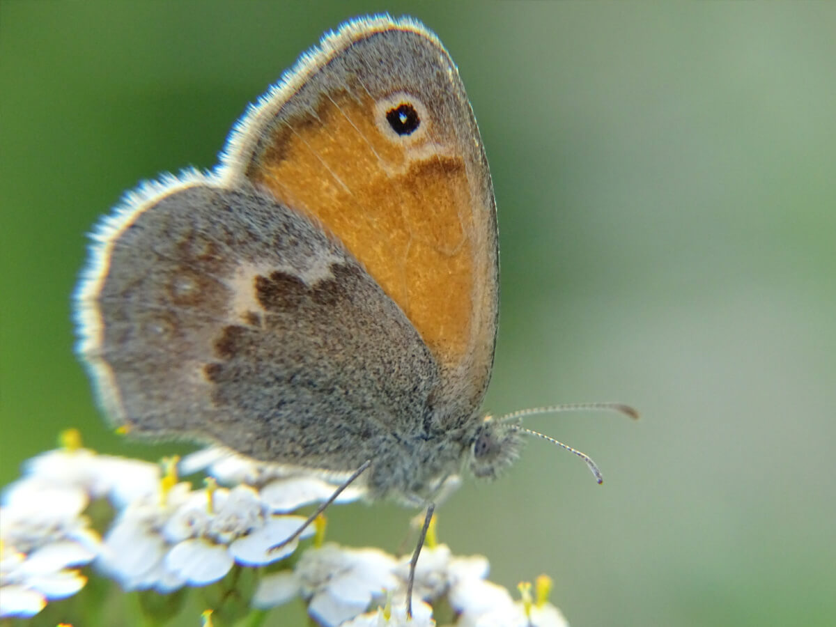 5f57c9df1dbcbdf4f9ae365ec80cc7de