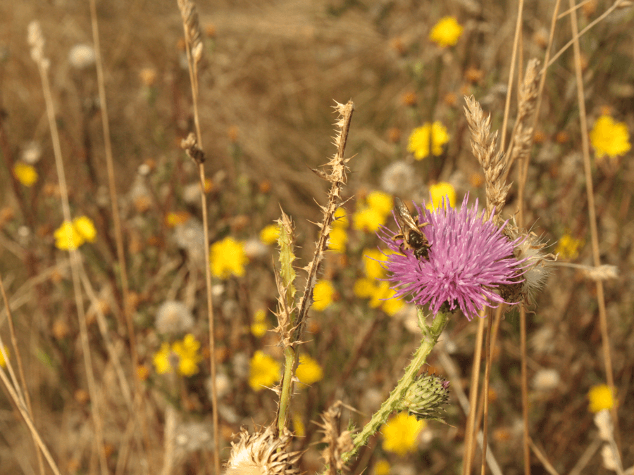 6de5d19905d2227454db0cd8c682c0cd