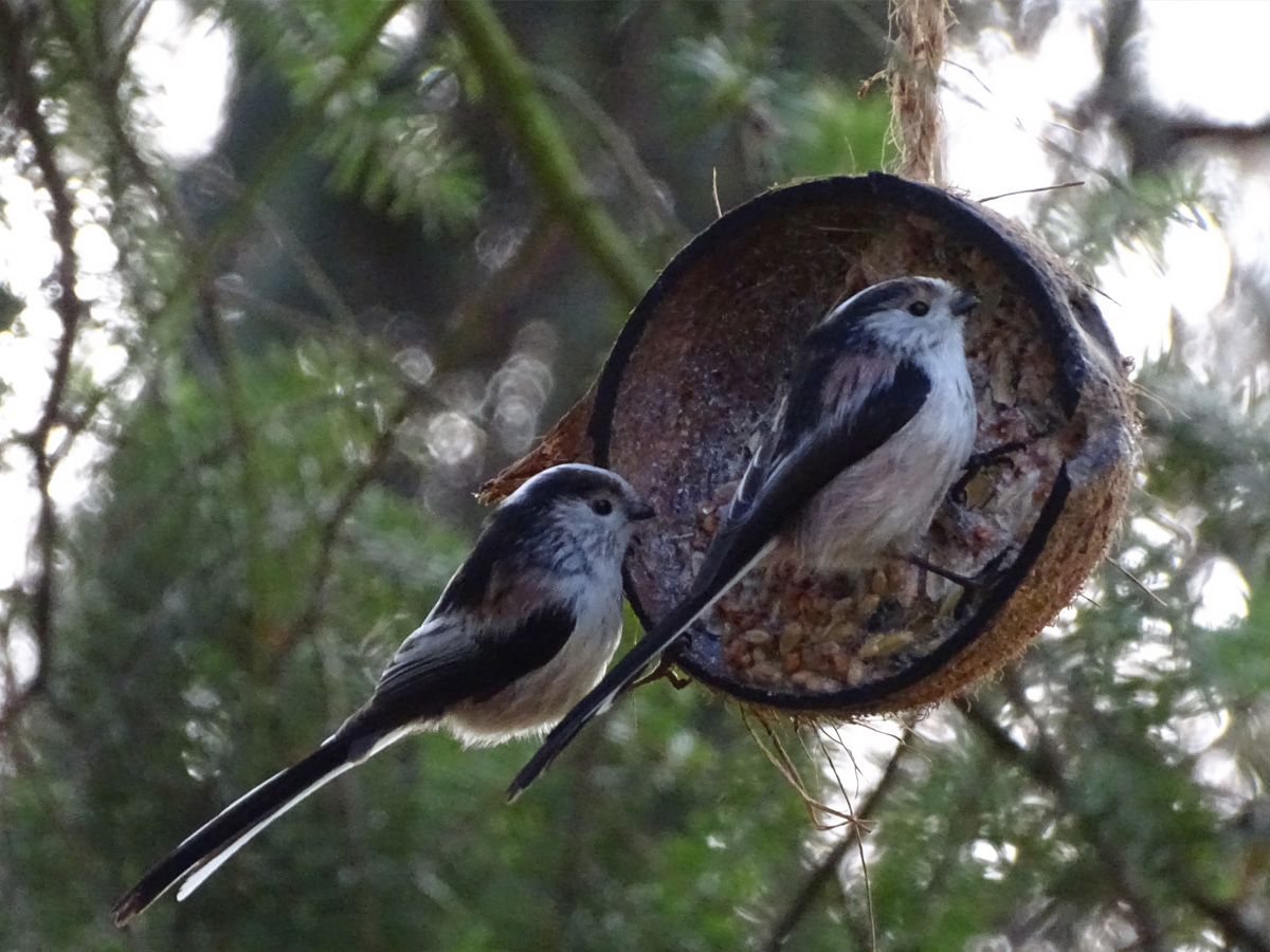 06a019108b8f056c86d2347067119858