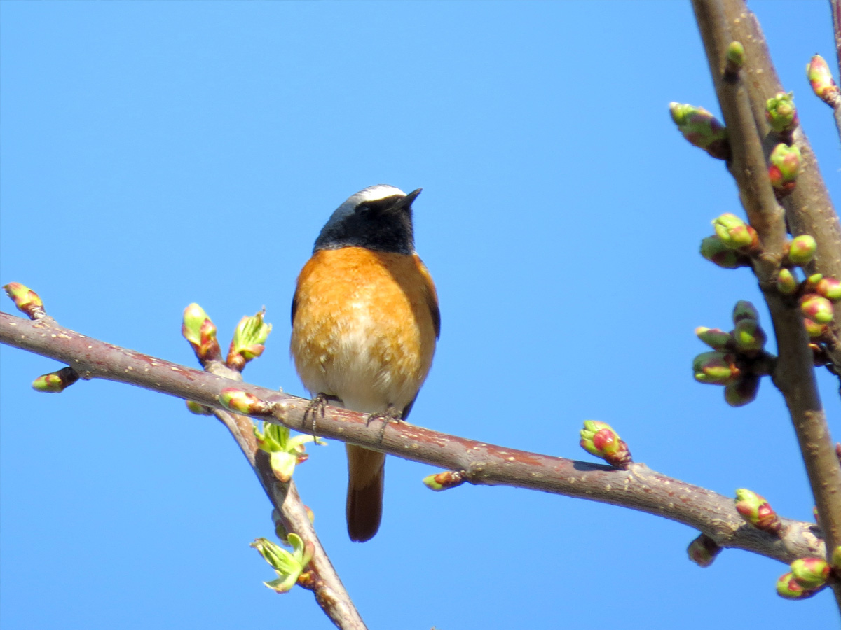 B9b6f78121c392960e210c4065bb11c8