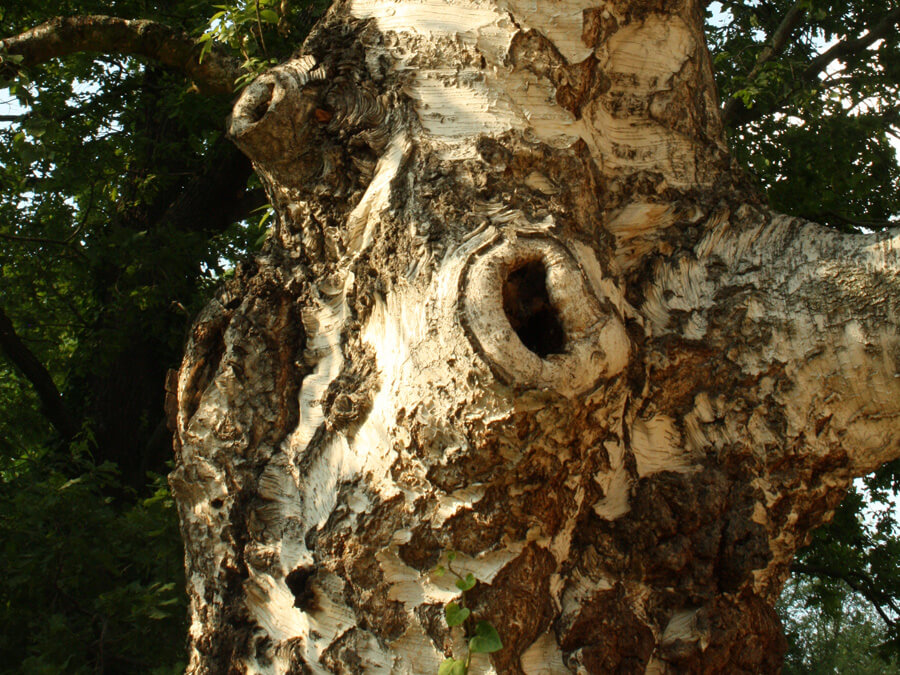 257e595ac7eeb378a0b12e1873804e3d