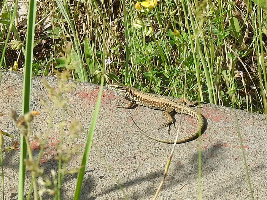 461ce39c778190dd53284400ca0e7b27