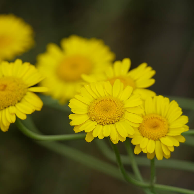 026ee218171a121cac46255d8c383b5f