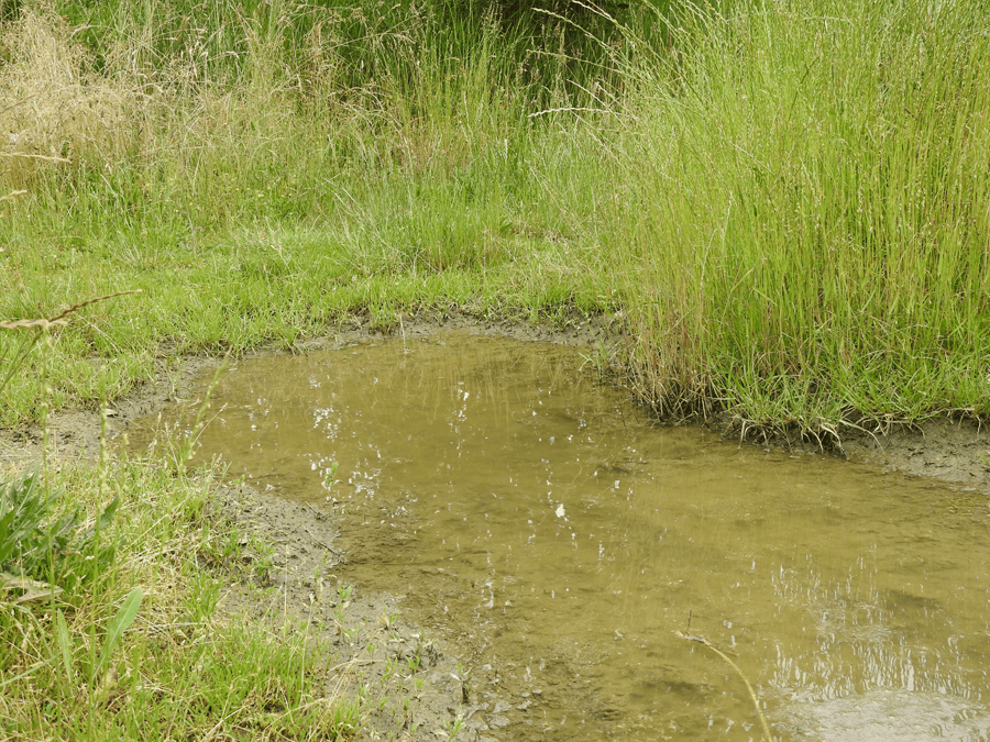 9f08b2a797f3a6b3cd7c6bb2a6347242