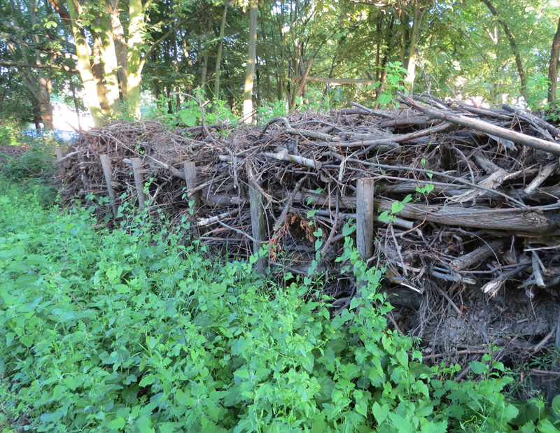 Dc74a147e0abcbaf9da6d91b0dd04956