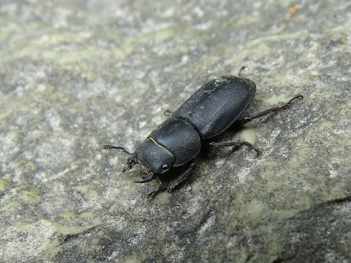 021f668f05502d4017879112db1e4351