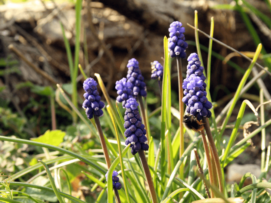 E2b2b20dddbec3e01eb72716e29e345e