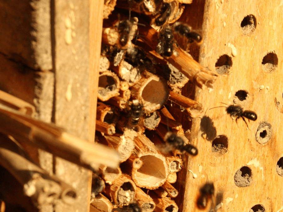 78d5daa02d9e1eb80de0d7c8287059b5