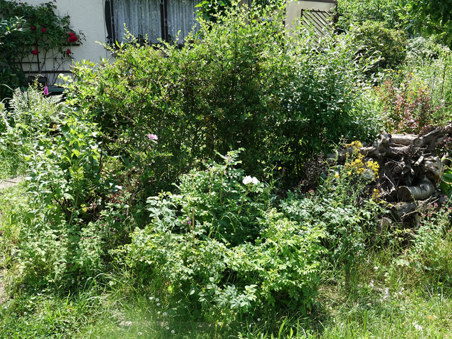 153bb70930cc9148bef79547c29b98fe