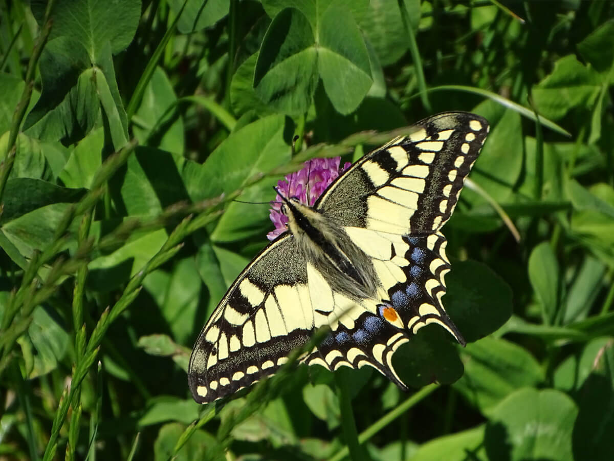 82faf7505b0216ed364dbd240f7be6ba