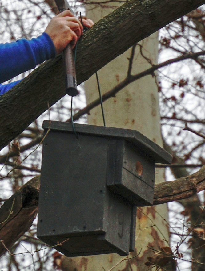 Selbstgebauter Nistkasten an einem Baum montiert