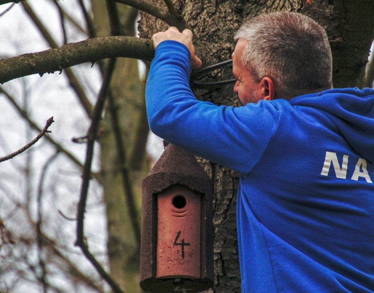 Schwegler Nisthöhle kegelförmig