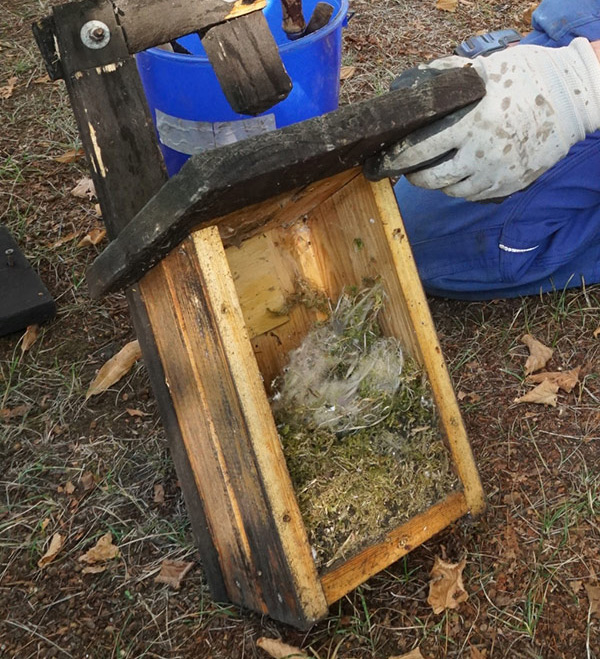 Geöffneter Nistkasten bei der Herbstreinigung