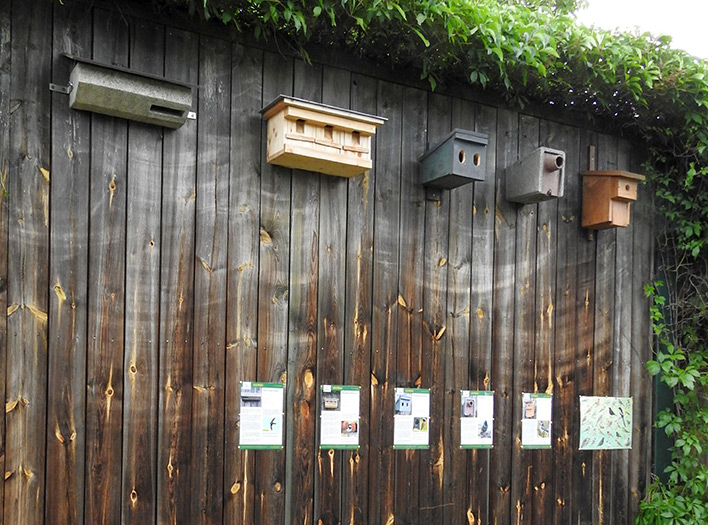 Verschiedene Nistkastentypen in einer Ausstellung